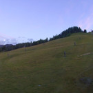 Livecam Tressdorfer Höhe