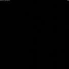 Livecam Nassfeld