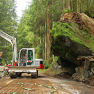 Silbertal: Felsbrocken auf Straße gestürzt