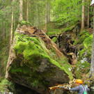 Felssturz Silbertal09.jpg