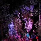 normal_02092012ilumde01003aktivnews__113_.JPG