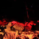 normal_02092012ilumde01003aktivnews__119_.JPG
