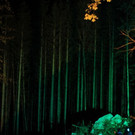 normal_02092012zauberwaldde01001aktivnews_006.jpg