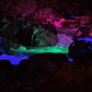 normal_02092012zauberwaldde01001aktivnews_034.jpg