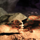 normal_02092012zauberwaldde01001aktivnews_044.jpg