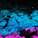 normal_02092012zauberwaldde01001aktivnews_047.jpg
