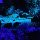 normal_02092012zauberwaldde01001aktivnews_073.jpg