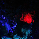normal_02092012zauberwaldde01001aktivnews_074.jpg