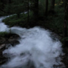 normal_02092012zauberwaldde01001aktivnews_162.jpg