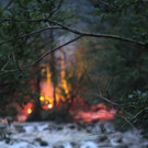 normal_02092012zauberwaldde01001aktivnews_163.jpg
