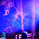 normal_02092012zauberwaldde01001aktivnews_170.jpg