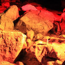 normal_02092012zauberwaldde01001aktivnews_178.jpg