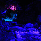 normal_02092012zauberwaldde01001aktivnews_195.jpg