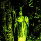 normal_02092012zauberwaldde01001aktivnews_214.jpg