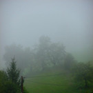 normal_01092012nebellandschaftat05007aktivnews_21.jpg