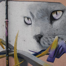 z__rich 31_jpg-1346774611