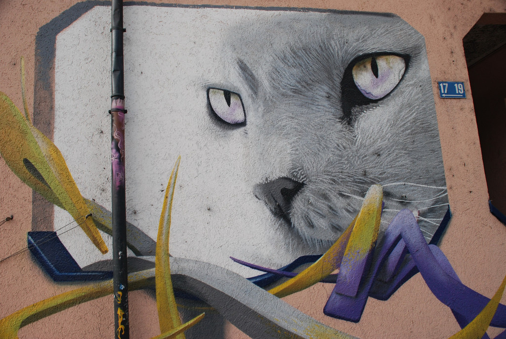 z__rich 31_jpg-1346774611