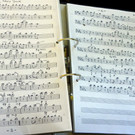 105_3048_jpg-1346828789