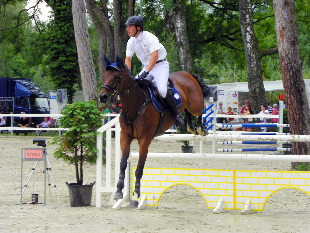 115_8886_JPG-1346829265