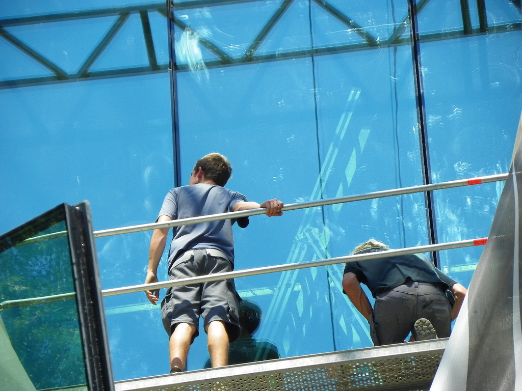 115_3029_JPG-1346830536