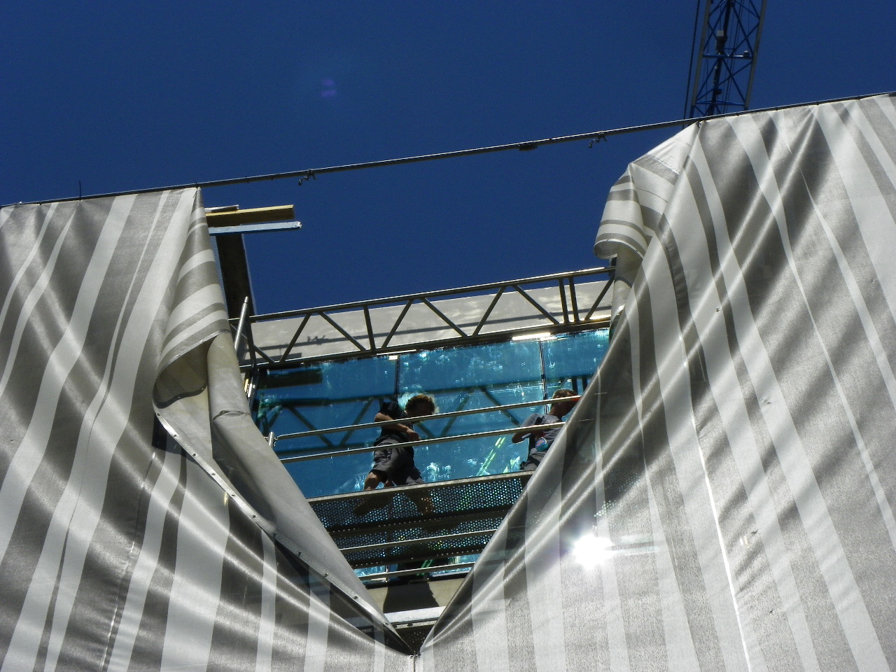 115_3036_JPG-1346830560