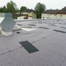 116_0370_JPG-1346832401