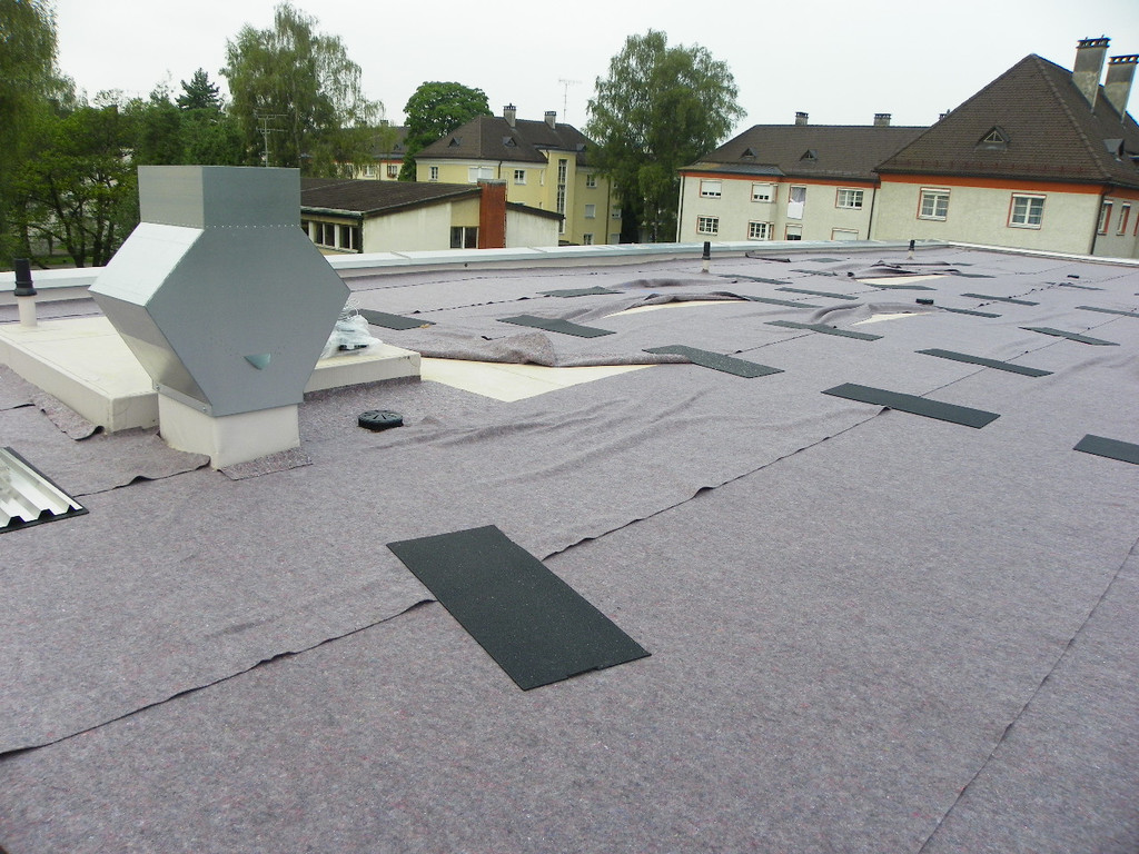 116_0370_JPG-1346832401