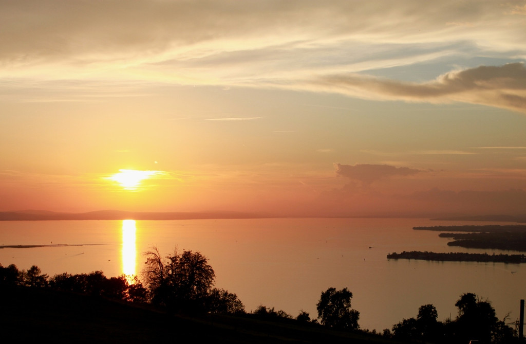 Fritsch Weinfest Impressionen 2011 _11__jpg-1346832942