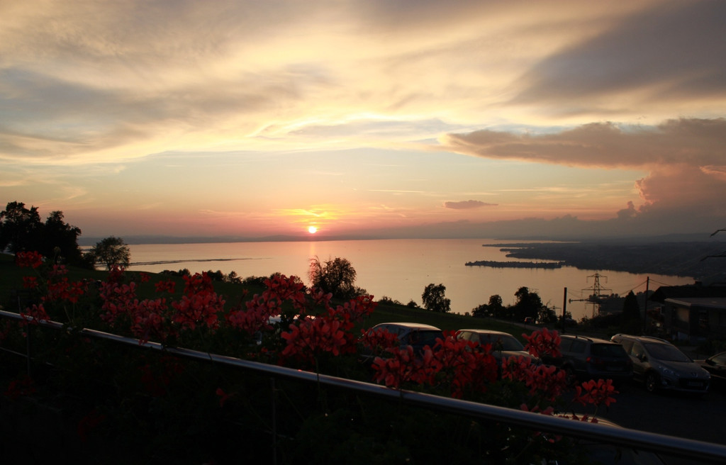 Fritsch Weinfest Impressionen 2011 _13__jpg-1346832949