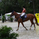 115_8850_JPG-1346848212