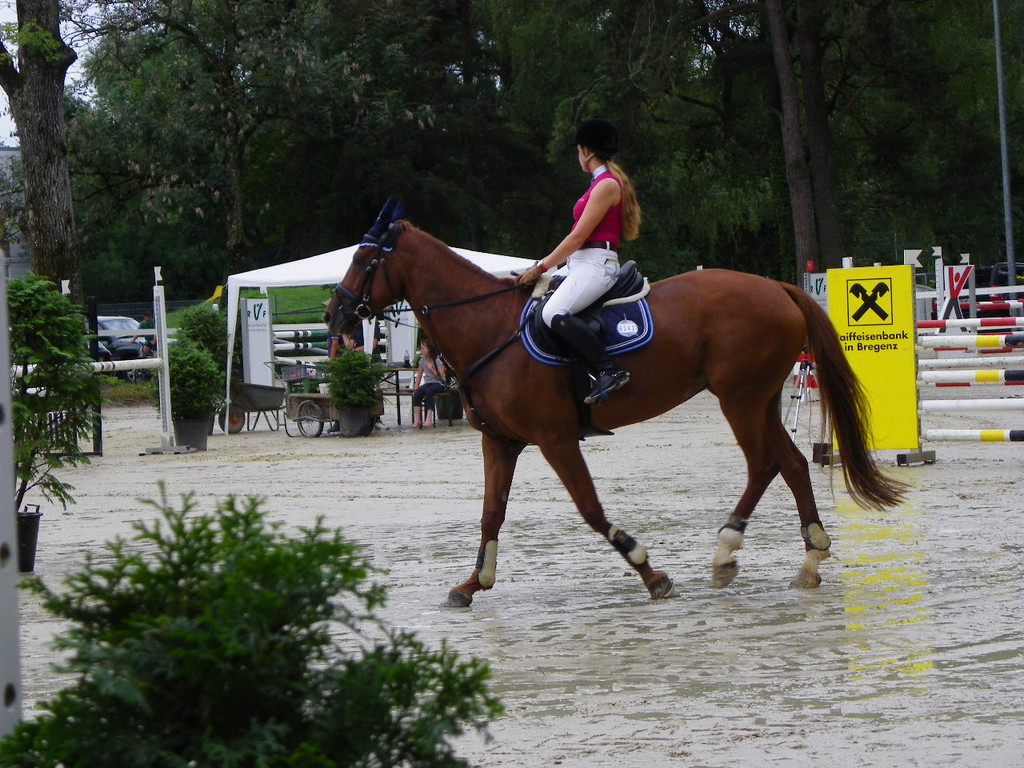 115_8850_JPG-1346848212