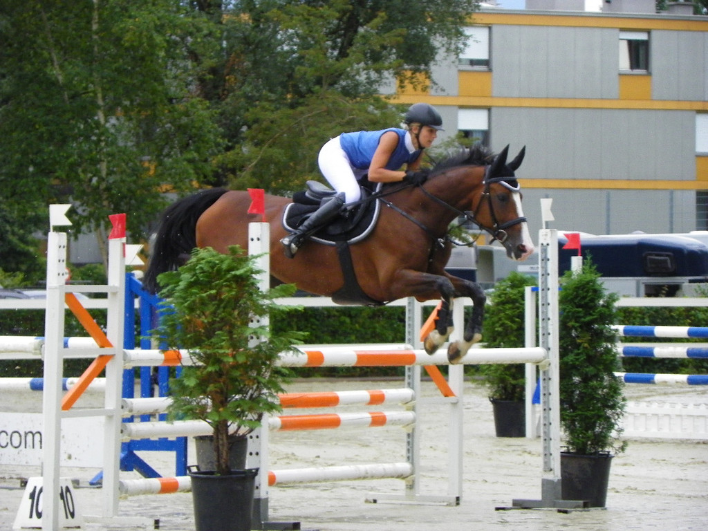 115_8856_JPG-1346848227