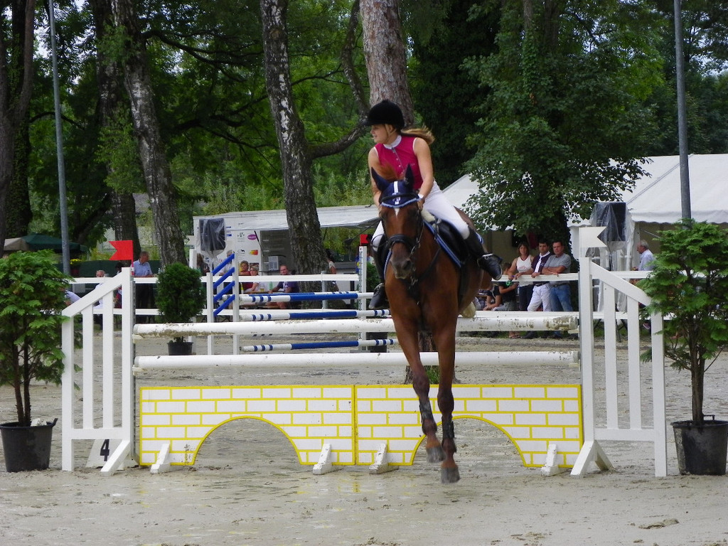 115_8860_JPG-1346848240