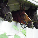 115_8842_JPG-1346848200