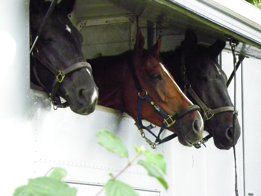 115_8842_JPG-1346848200