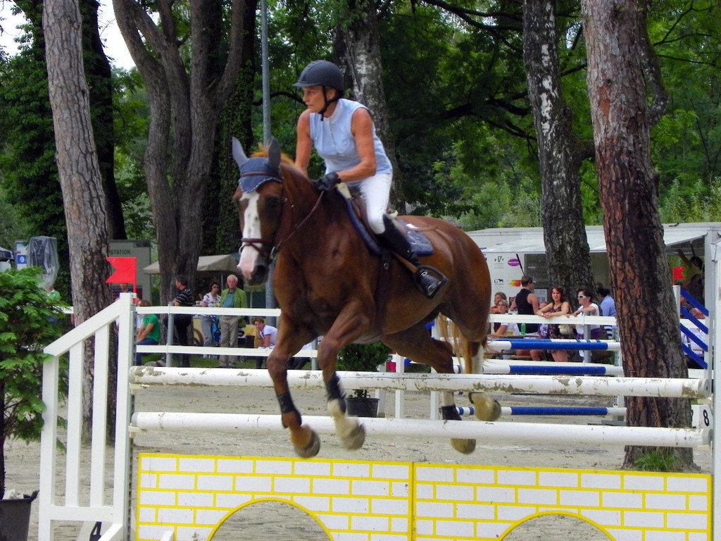 115_8864_JPG-1346848246