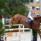 115_8867_JPG-1346848253