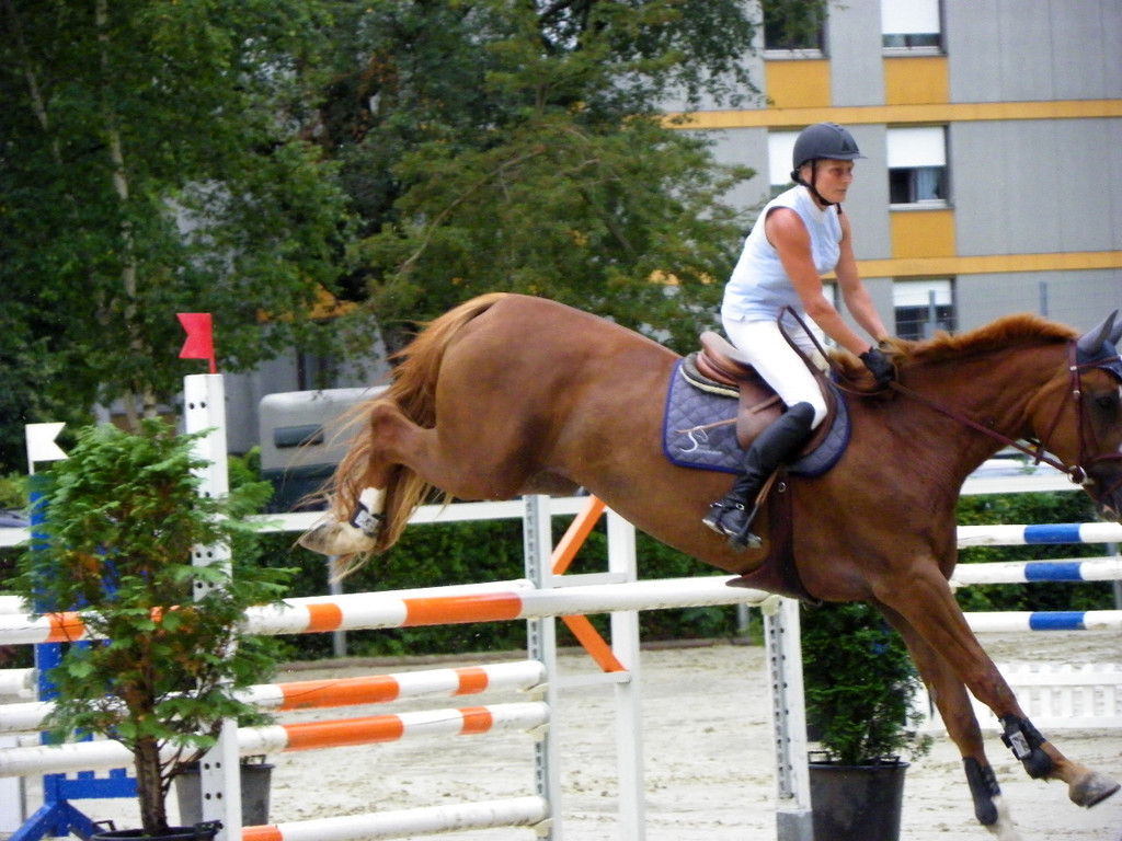 115_8867_JPG-1346848253