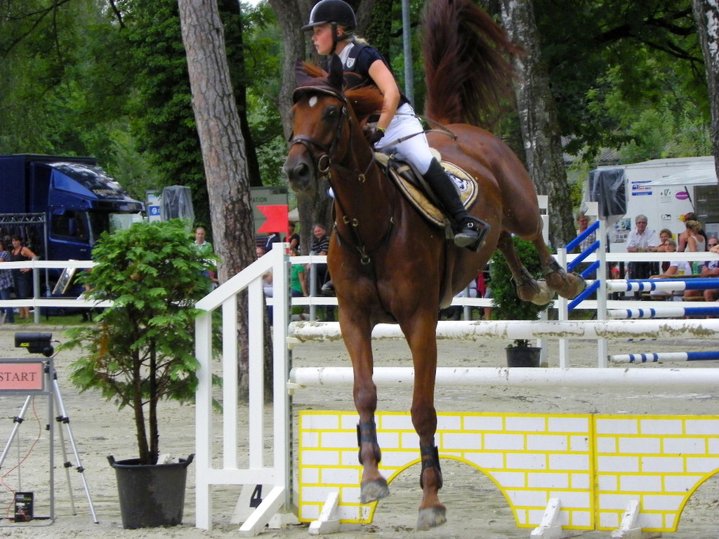 115_8868_JPG-1346848259