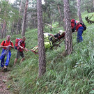 090412a2.jpg