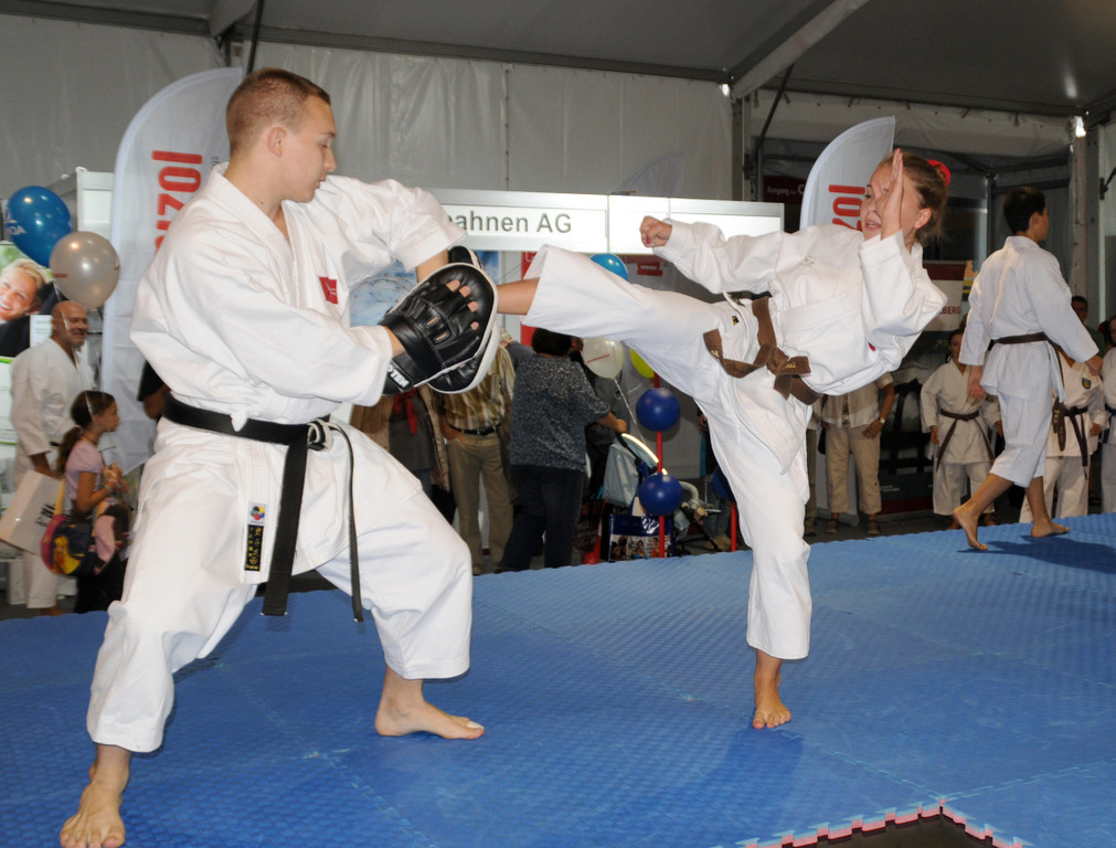 Messe 2012 AJK 53_jpg-1346863683