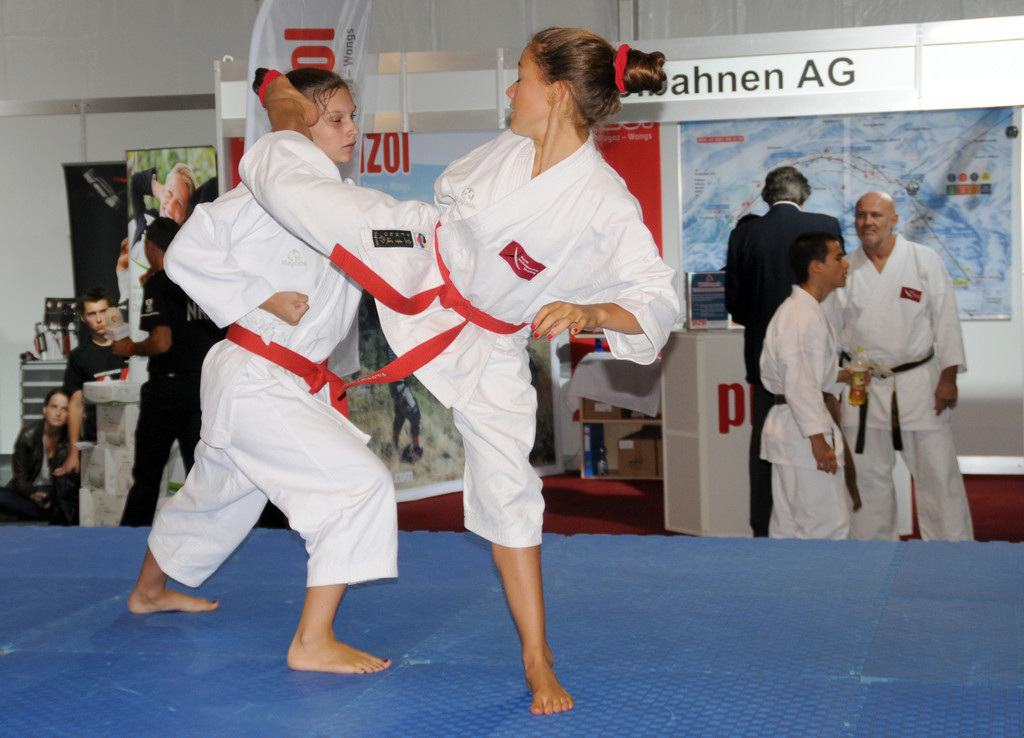 Messe 2012 AJK 78_jpg-1346864305