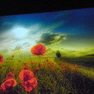 116_0338_JPG-1346880789