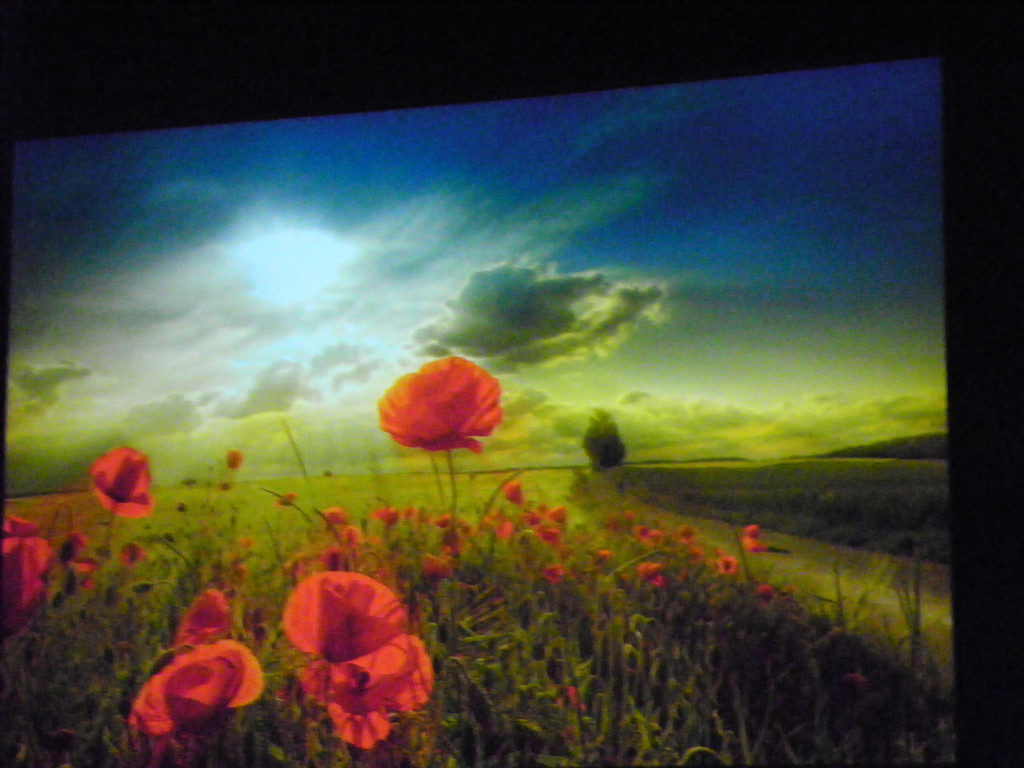 116_0338_JPG-1346880789