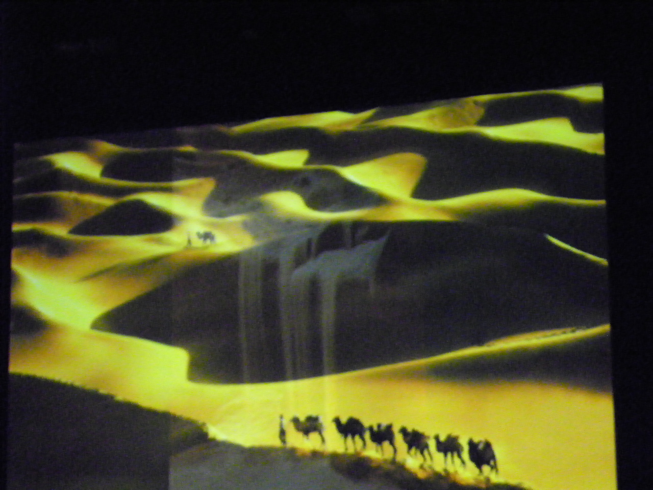 116_0343_JPG-1346880795