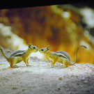 116_0358_JPG-1346880825