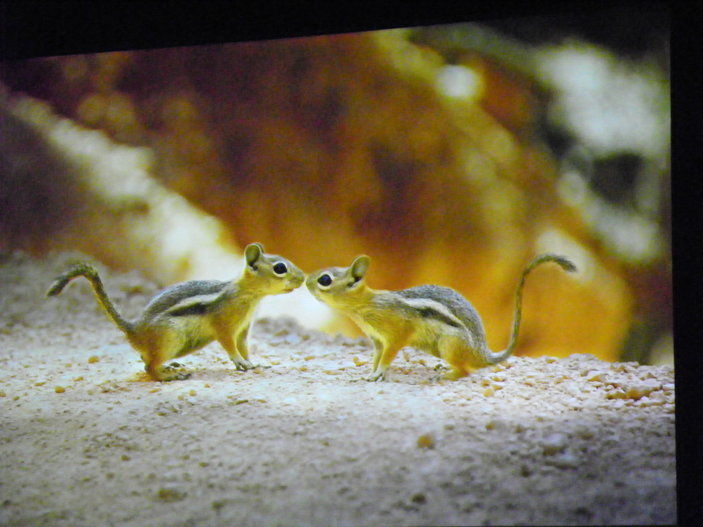 116_0358_JPG-1346880825