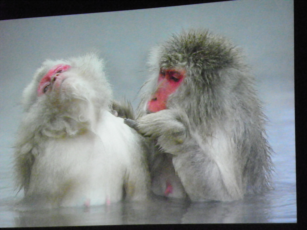 116_0357_JPG-1346880819