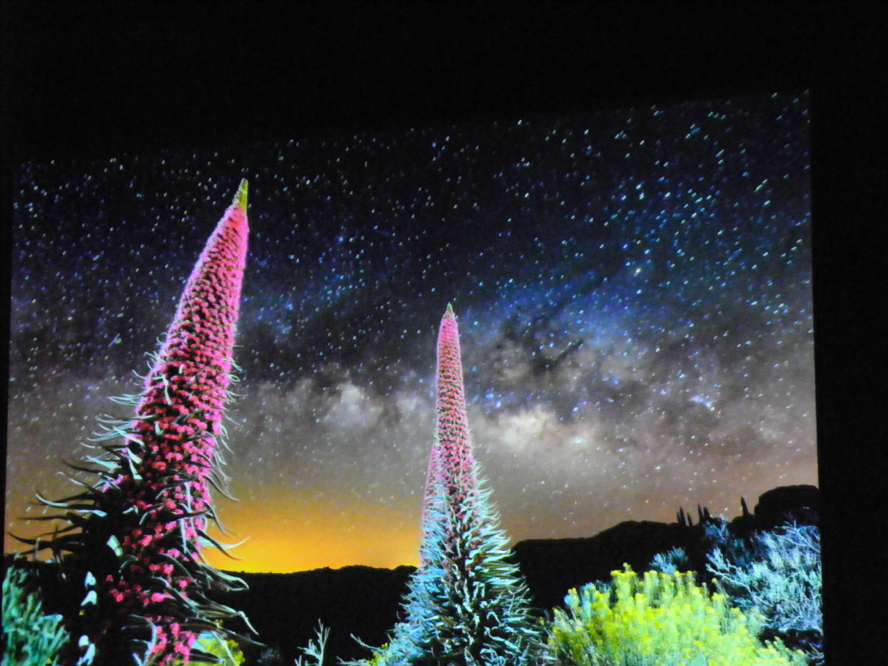 116_0332_JPG-1346880778