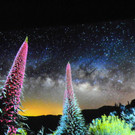 116_0332_JPG-1346880778